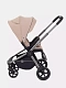 Коляска прогулочная Rant Flex Pro 2023