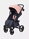 Коляска прогулочная Rant Basic Alpine