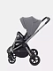 Коляска прогулочная Rant Flex Pro 2023