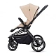 Детская коляска 2 в 1 RAIZ new