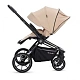 Детская коляска 2 в 1 RAIZ new
