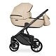 Коляска 2 в 1 Riko Basic Montana Ecco
