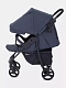 Коляска прогулочная Rant Basic Kira