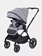 Коляска 2 в 1 RANT MOSS