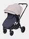 Коляска универсальная Rant Energy