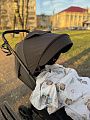 Прогулочная коляска Bravo lite 2026 Supreme Brown