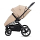 Детская коляска 2 в 1 RAIZ new