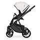 Коляска 2 в 1 Riko Basic Montana Ecco