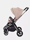 Коляска прогулочная Rant Flex Pro 2023