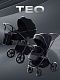 Коляска универсальная 2 в 1 Rant TEO
