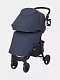 Коляска прогулочная Rant Basic Kira