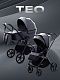 Коляска универсальная 2 в 1 Rant TEO