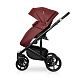 Коляска Ozon