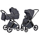 Коляска 2 в 1 Carrello Vector 2026