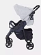 Коляска прогулочная Rant Basic Kira