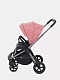Коляска прогулочная Rant Flex Pro 2023