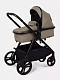 Коляска-трансформер для двойни и погодок Rant Dualo BROWN