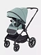 Коляска 2 в 1 RANT MOSS