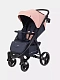 Коляска прогулочная Rant Basic Alpine