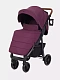 Коляска прогулочная Rant Vega 2023