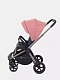 Коляска прогулочная Rant Flex Pro 2023