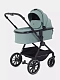 Коляска 2 в 1 RANT MOSS