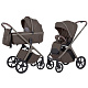 Коляска 2 в 1 Carrello Vector 2026