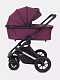Коляска RANT AXIOM