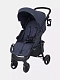 Коляска прогулочная Rant Basic Kira