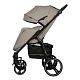 Коляска прогулочная Indigo MAXIMA