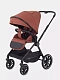 Коляска 2 в 1 RANT MOSS