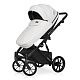 Коляска 2 в 1 Riko Basic Montana Ecco
