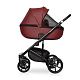 Коляска Ozon