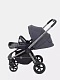 Коляска прогулочная Rant Flex Pro 2023