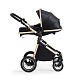Коляска-трансформер 2в1 Ranger Black Gold