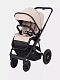 Коляска RANT AXIOM