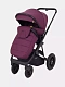 Коляска RANT AXIOM