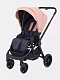 Коляска прогулочная Rant Energy
