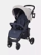 Коляска прогулочная Rant Basic Kira