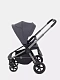 Коляска прогулочная Rant Flex Pro 2023