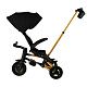 Велосипед трехколесный Qplay S700-17 SPRINTER (Rider) SL Black (Rub/Gold)