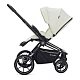 Детская коляска 2 в 1 RAIZ new