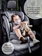 Автокресло детское CHAMPION, Isofix класс D, группа 0+/1/2/3 бежевое