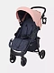 Коляска прогулочная Rant Basic Kira