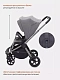 Коляска прогулочная Rant Flex Pro 2023