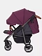 Коляска прогулочная Rant Vega 2023