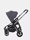 Коляска прогулочная Rant Flex Pro 2023