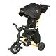 Велосипед трехколесный Qplay S700-13 Nova+ Black (Rub/Gold)