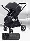 Коляска-трансформер Rant Basic Roller 2024