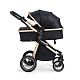 Коляска-трансформер 2в1 Ranger Black Gold